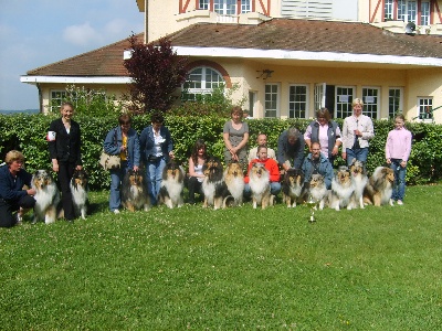 du Lac Argenté - Exposition du Touquet (62). Des colleys à l'honneur.